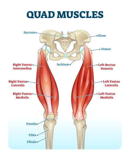 Detail Images Of Quads Nomer 23