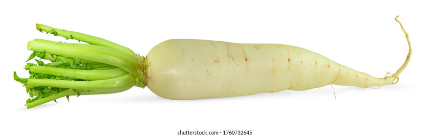 Detail Images Of Radish Nomer 13