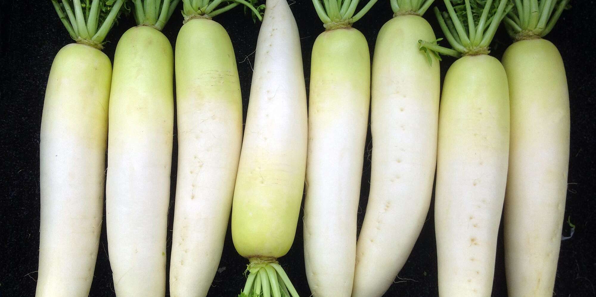 Detail Images Of Radish Nomer 19