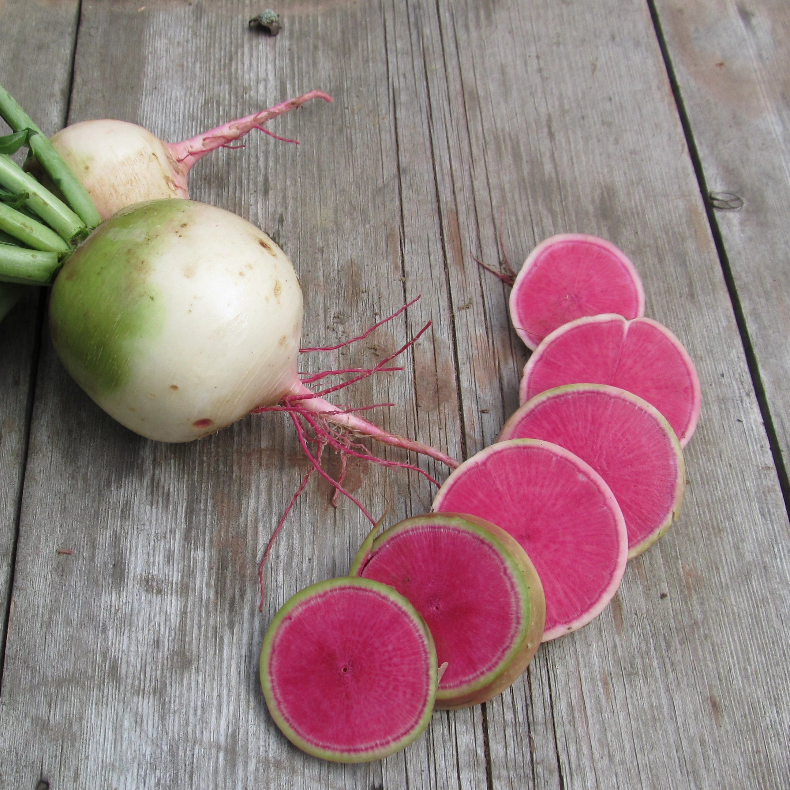 Detail Images Of Radish Nomer 22