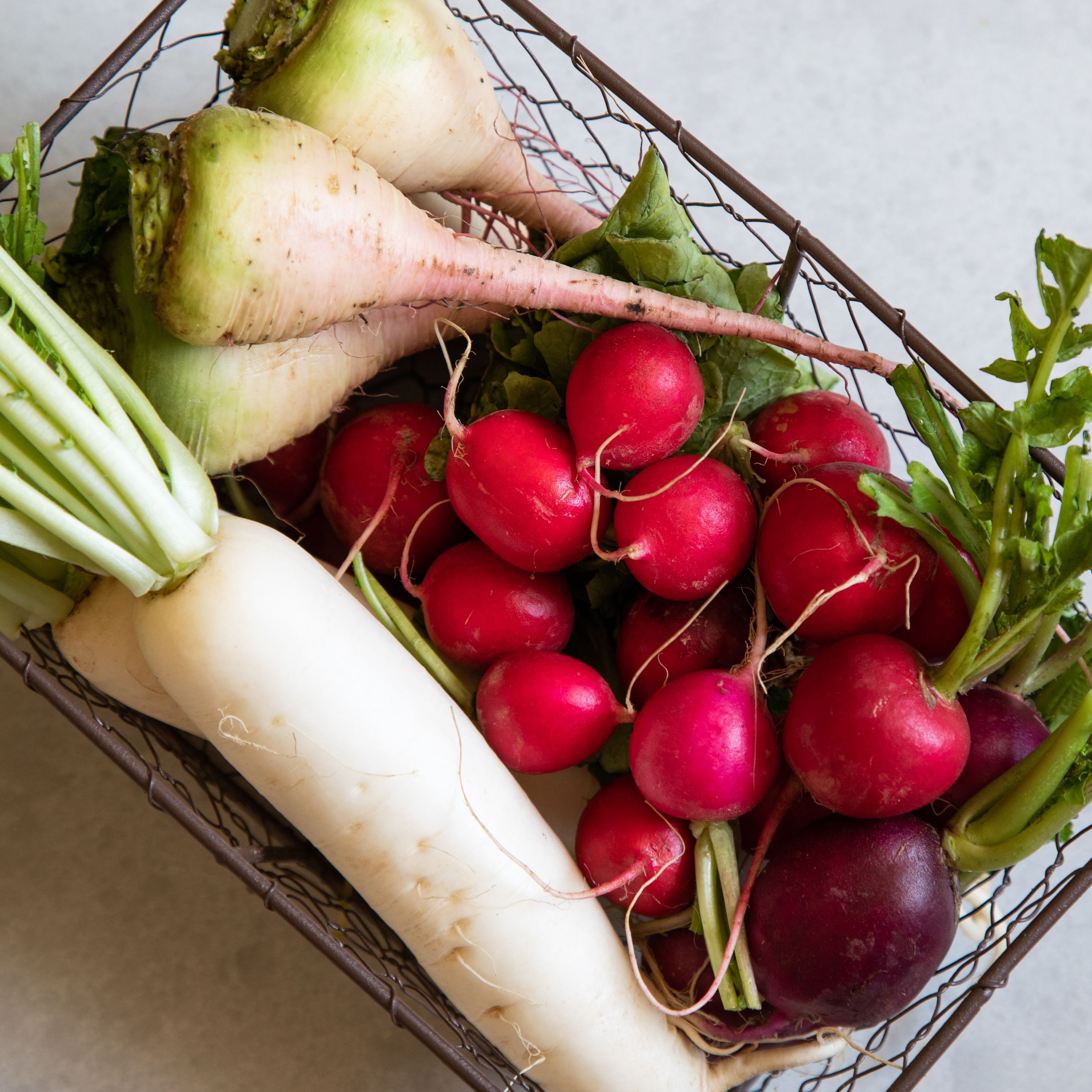 Detail Images Of Radish Nomer 23