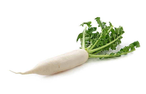 Detail Images Of Radish Nomer 34