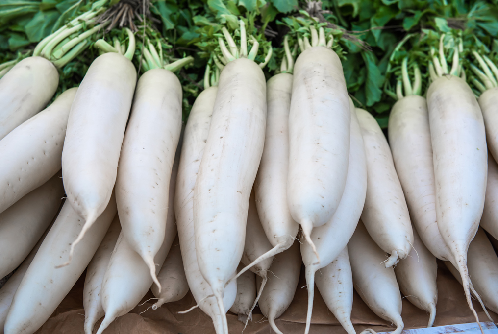 Detail Images Of Radish Nomer 35