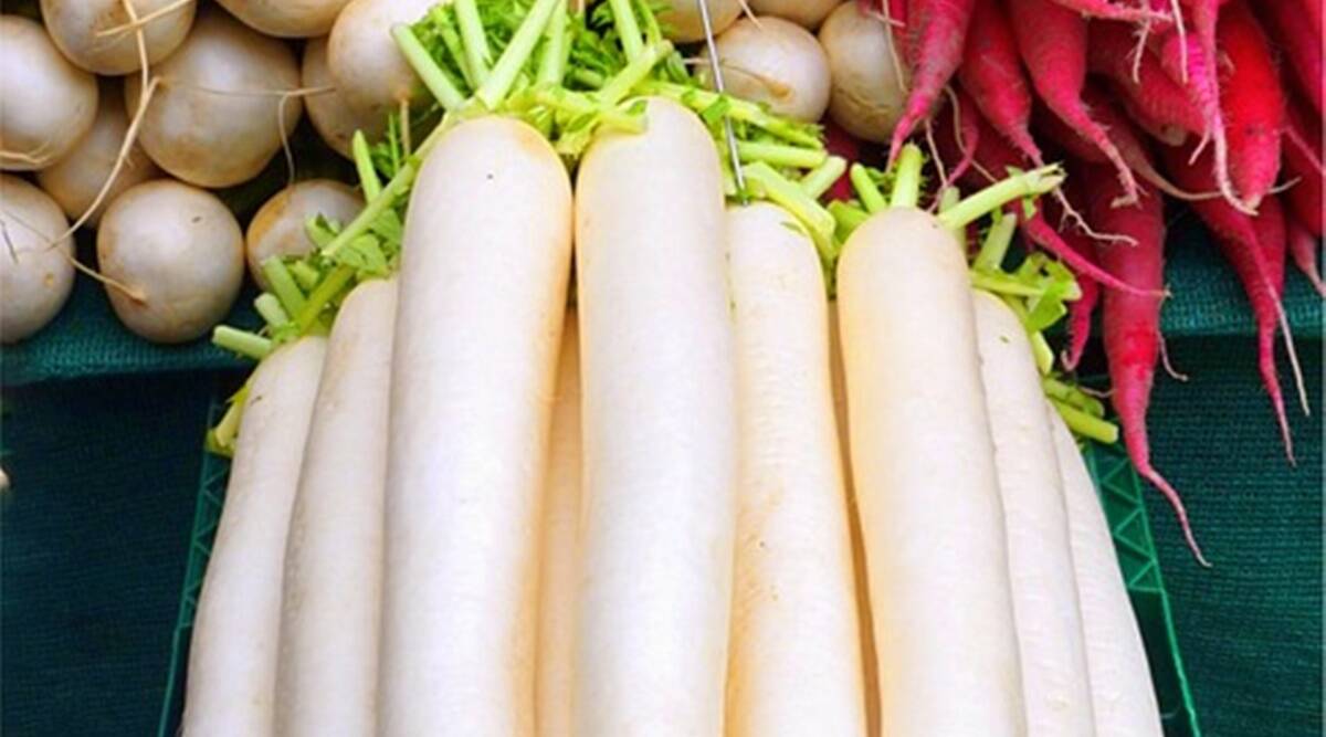 Detail Images Of Radish Nomer 36