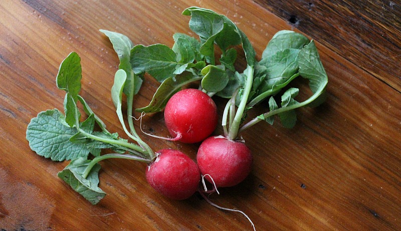 Detail Images Of Radish Nomer 44