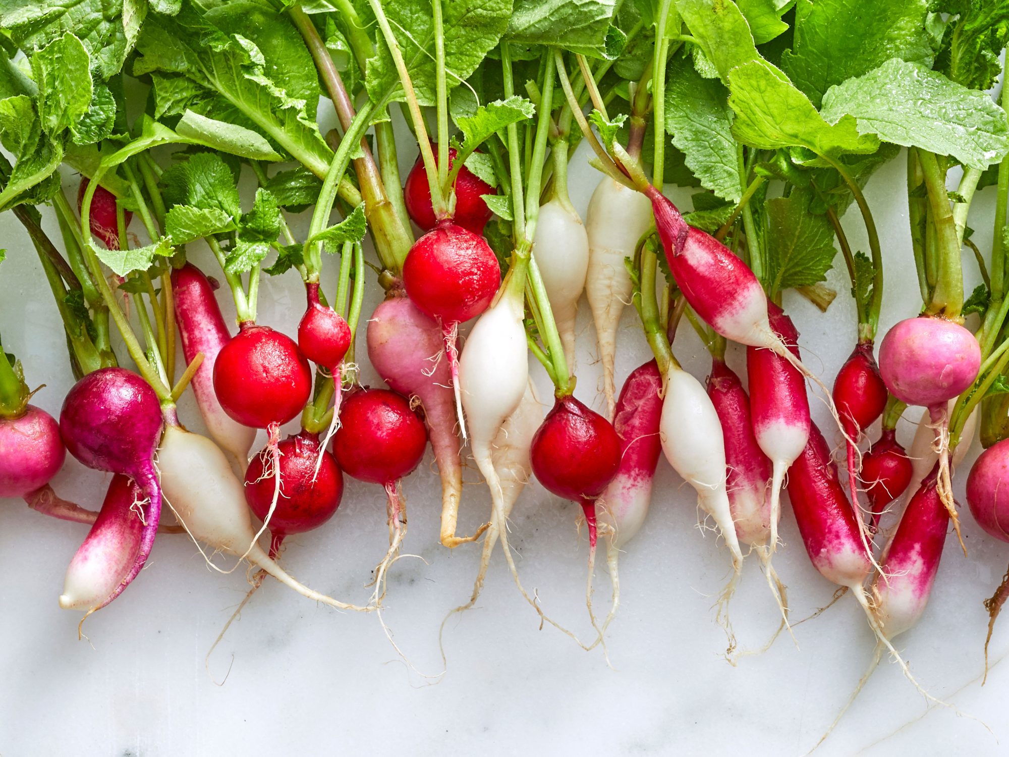Detail Images Of Radish Nomer 45