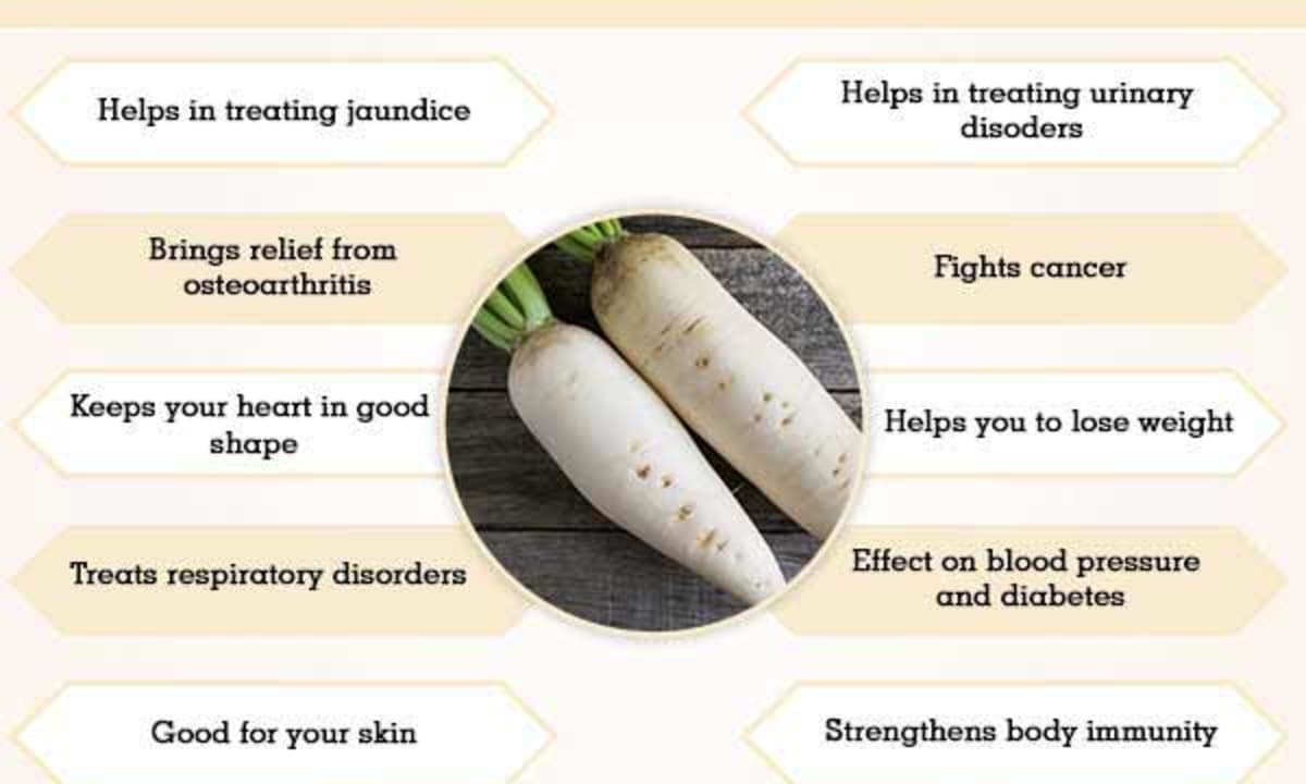 Detail Images Of Radish Nomer 50