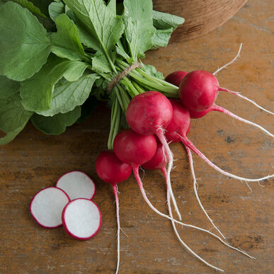 Detail Images Of Radishes Nomer 17