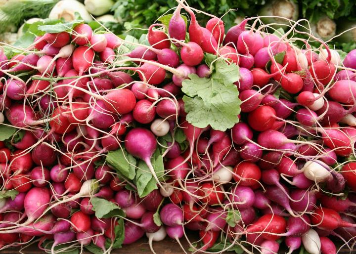 Detail Images Of Radishes Nomer 27