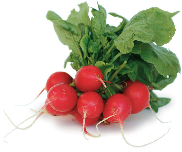 Detail Images Of Radishes Nomer 28