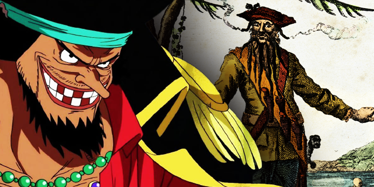 Detail Images Of Real Pirates Nomer 42