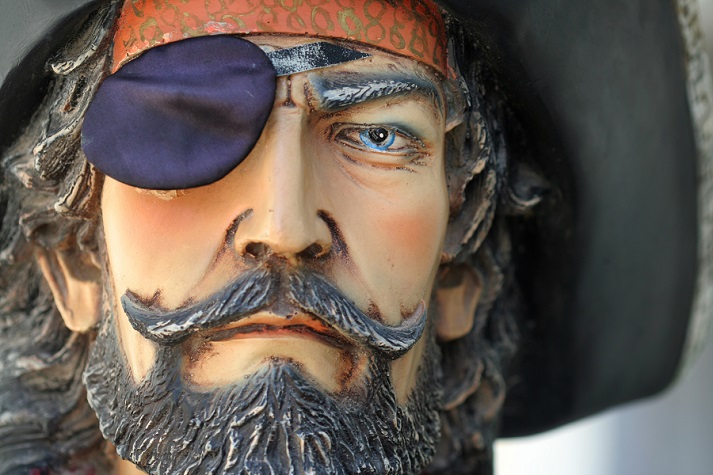 Detail Images Of Real Pirates Nomer 43