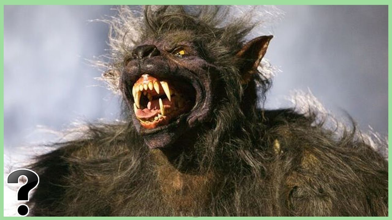 Detail Images Of Real Werewolves Nomer 14