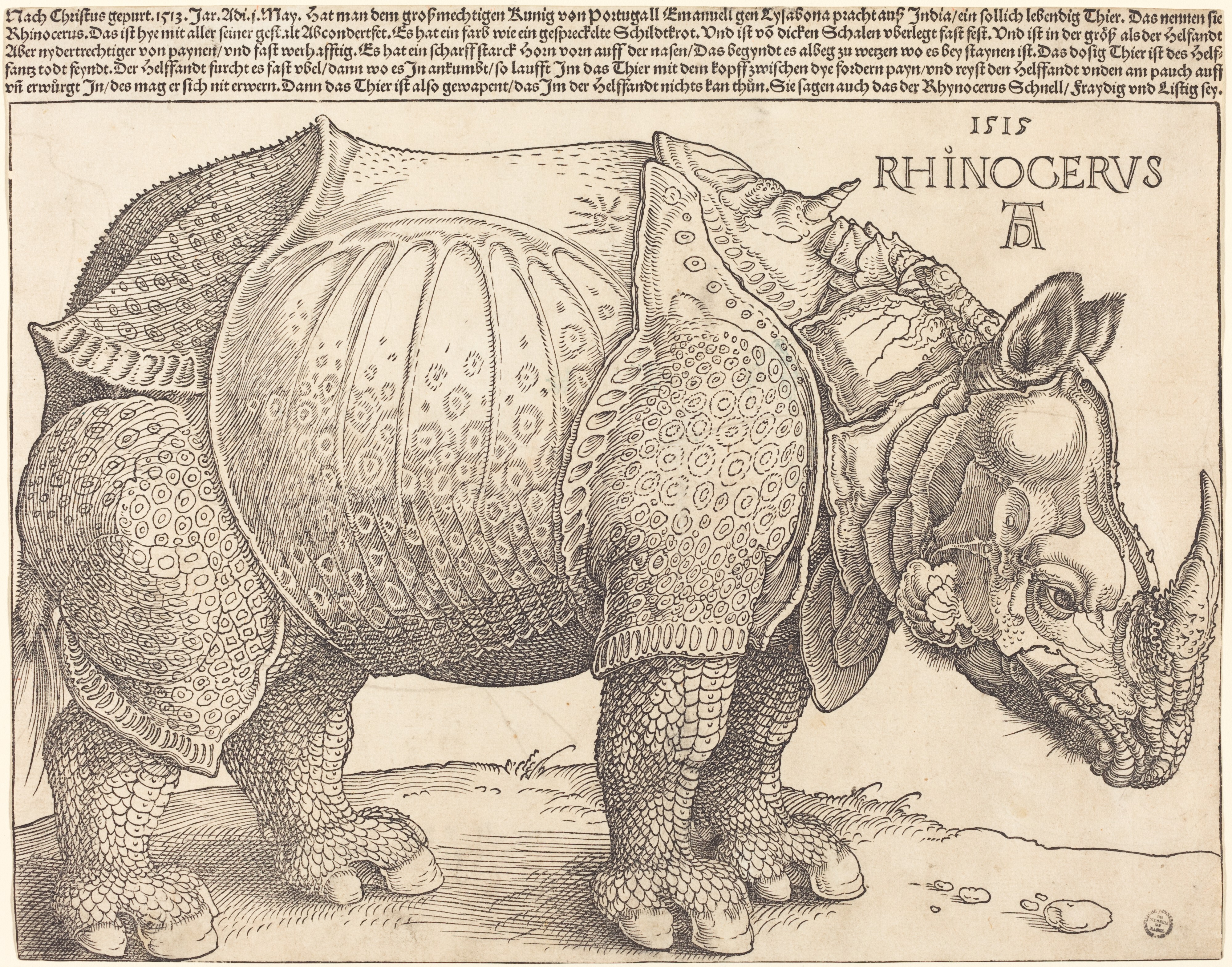 Detail Images Of Rhinoceros Nomer 52