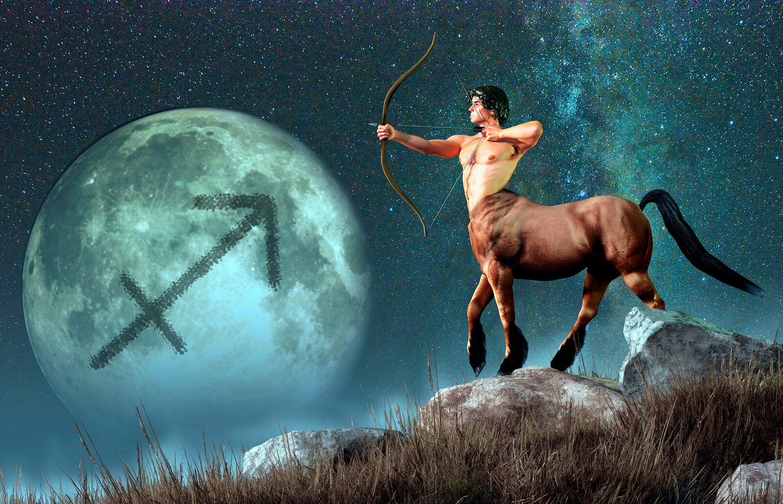 Detail Images Of Sagittarius Nomer 14