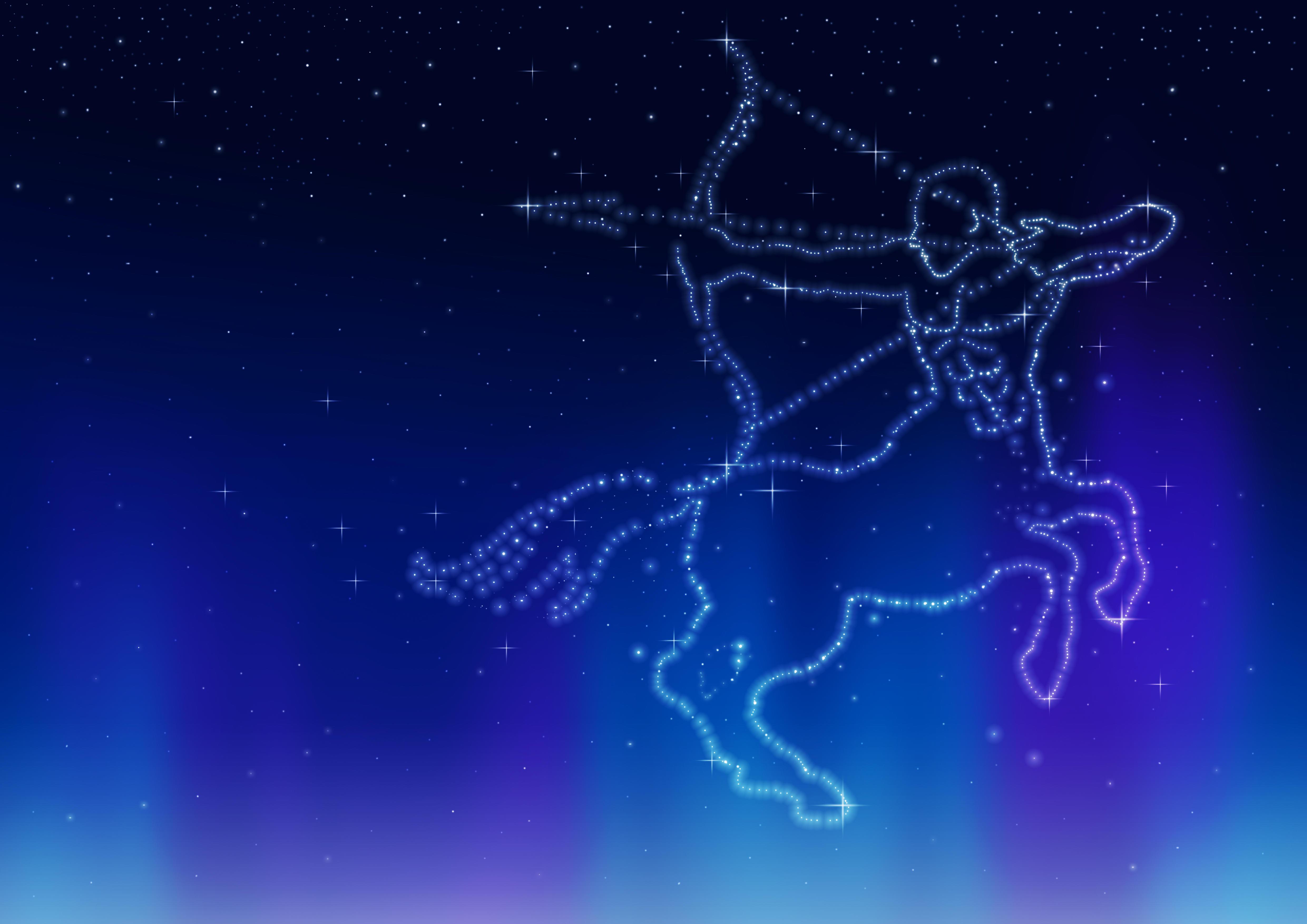 Detail Images Of Sagittarius Nomer 6