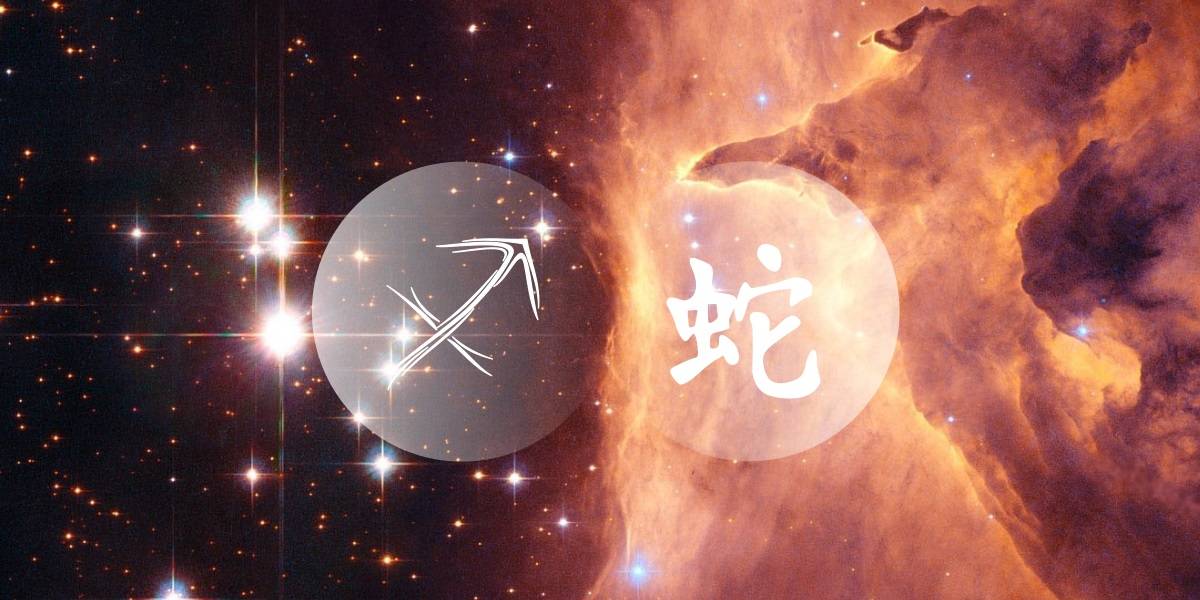 Detail Images Of Sagittarius Nomer 49