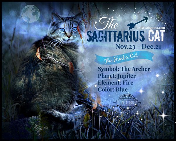Detail Images Of Sagittarius Nomer 56