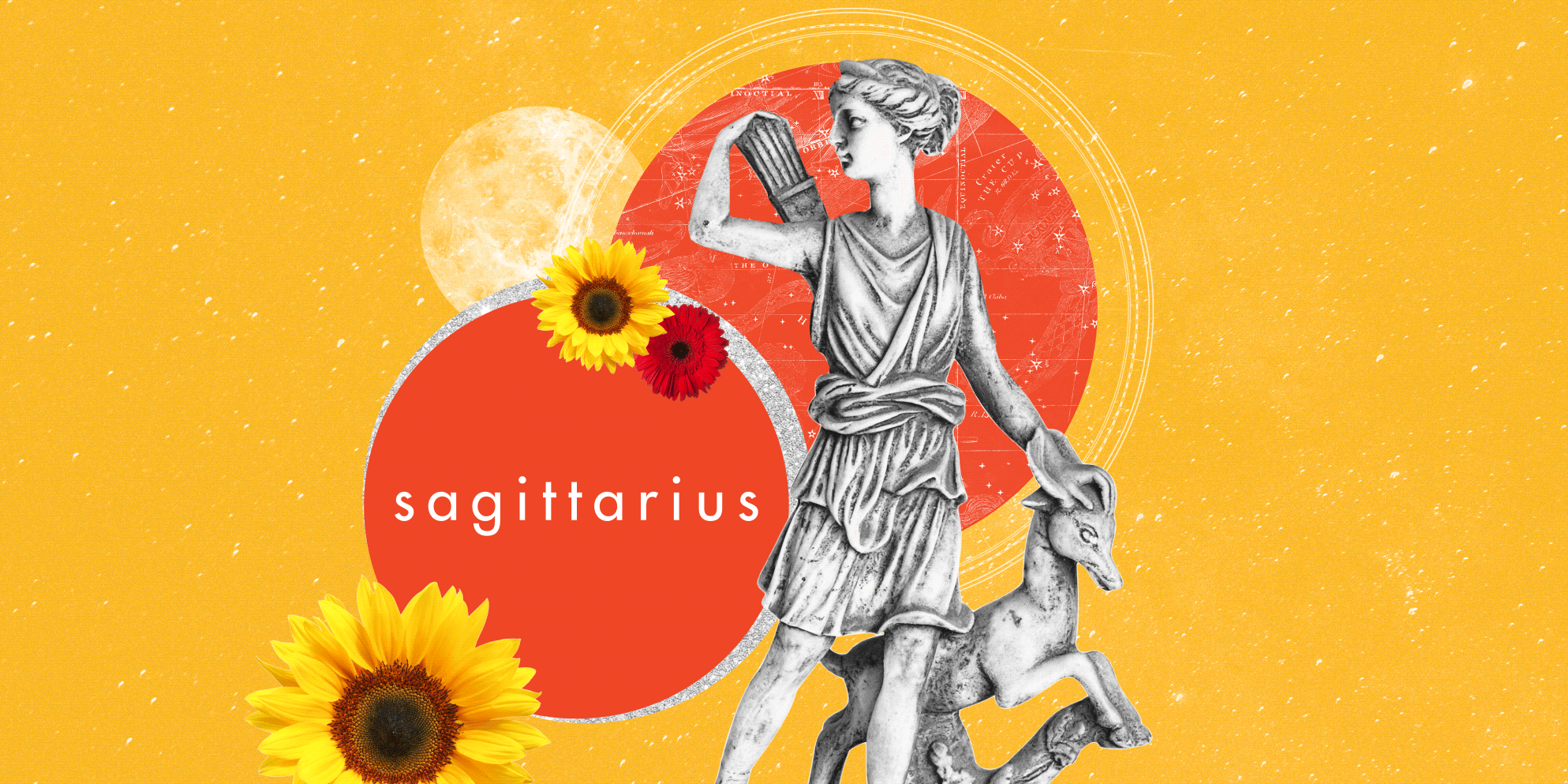Detail Images Of Sagittarius Nomer 57