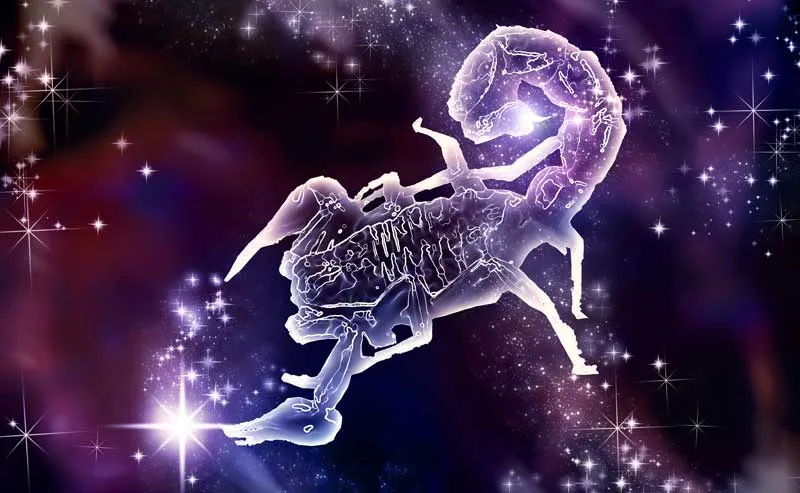 Detail Images Of Scorpio Zodiac Sign Nomer 53