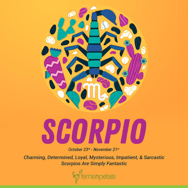 Detail Images Of Scorpios Nomer 9