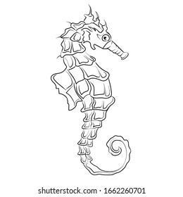 Detail Images Of Seahorse Drawings Nomer 26