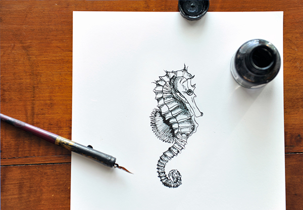 Detail Images Of Seahorse Drawings Nomer 32