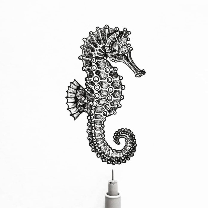 Detail Images Of Seahorse Drawings Nomer 6