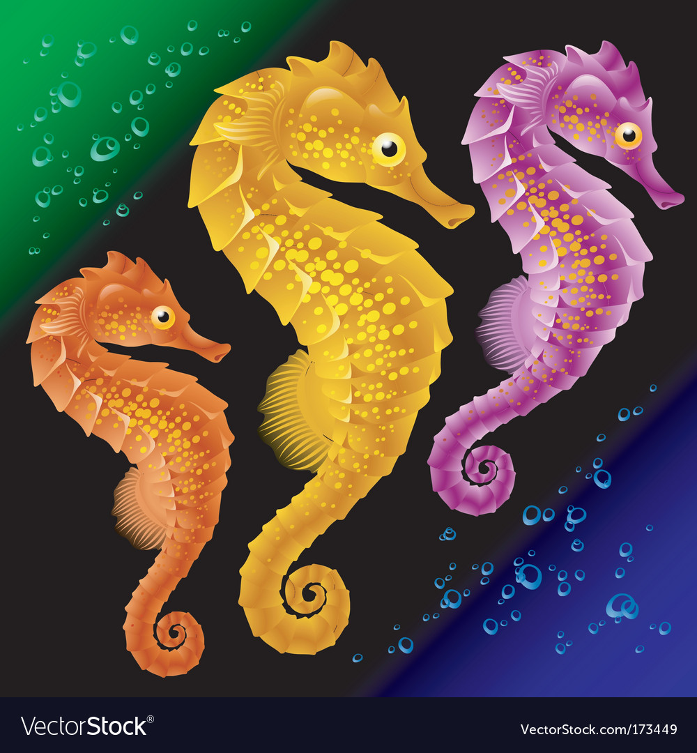 Detail Images Of Seahorses Nomer 11