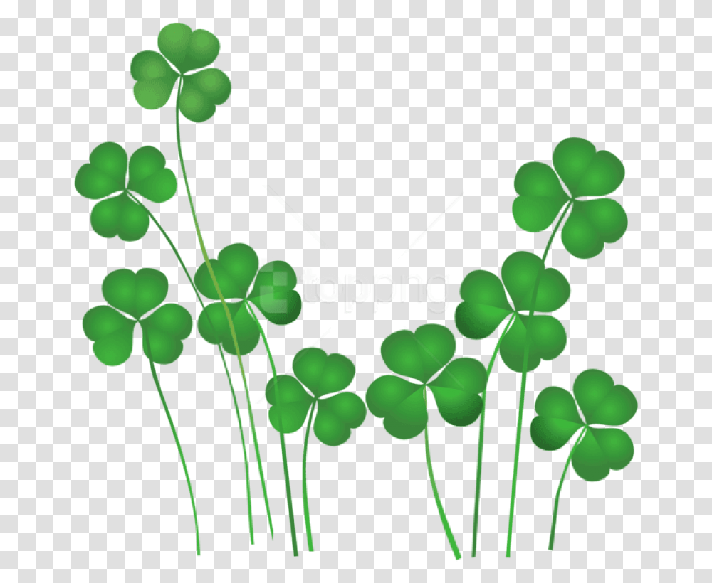 Detail Images Of Shamrocks Free Nomer 4