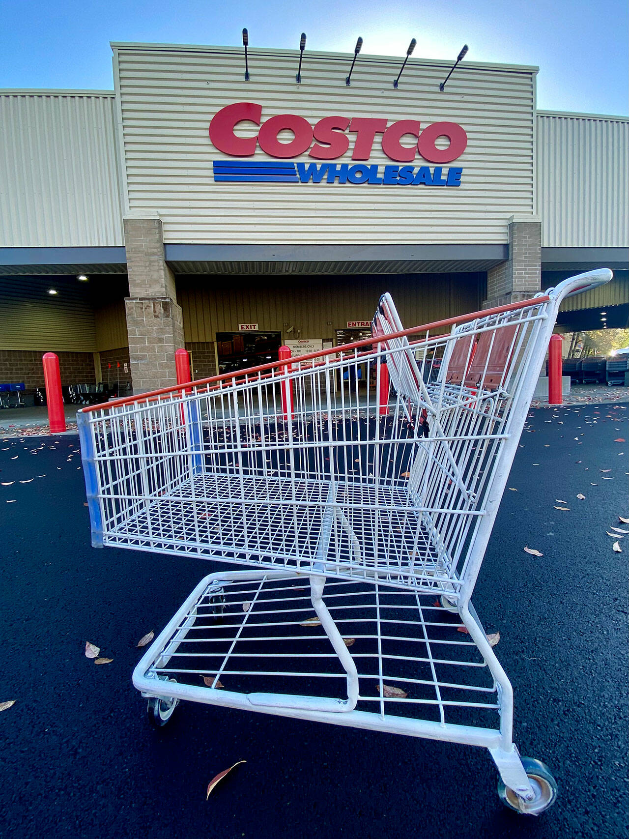 Detail Images Of Shopping Cart Nomer 38