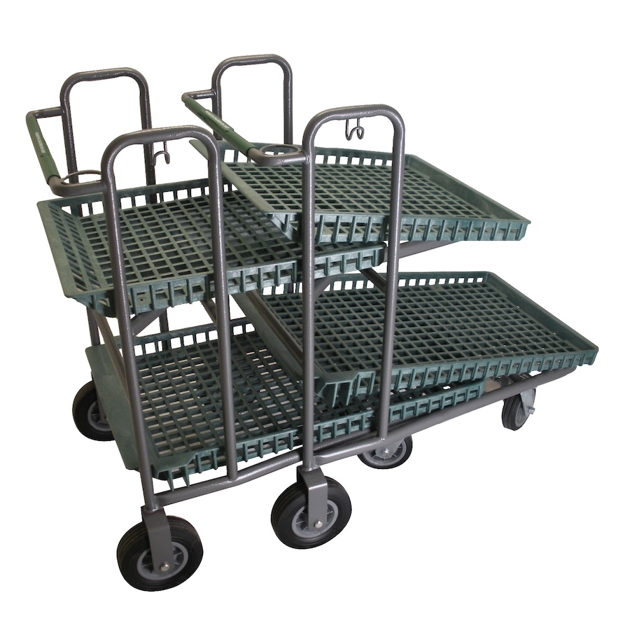 Detail Images Of Shopping Carts Nomer 51