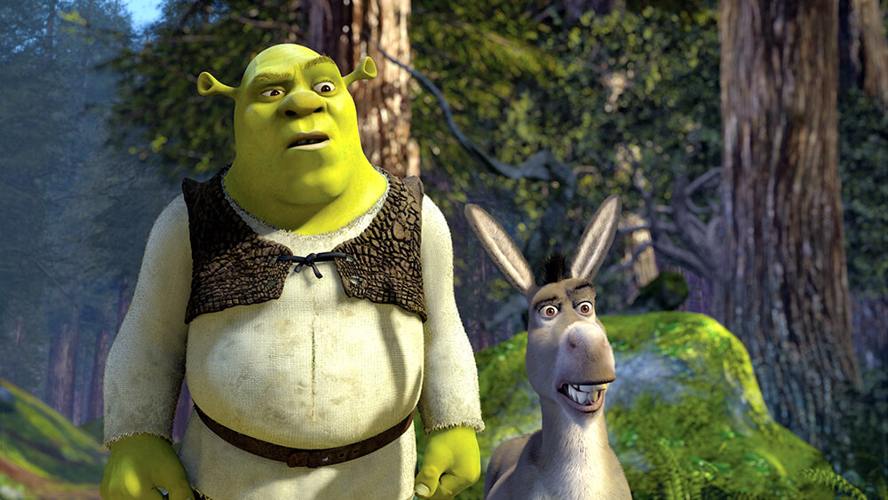 Detail Images Of Shrek And Donkey Nomer 6