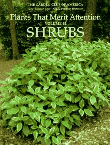 Detail Images Of Shrubs Plants Nomer 4