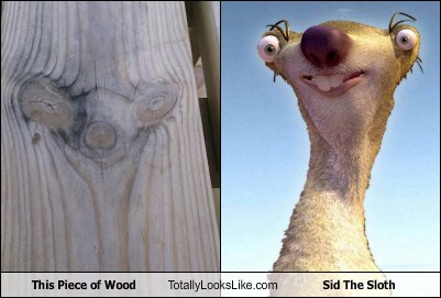 Detail Images Of Sid From Ice Age Nomer 47