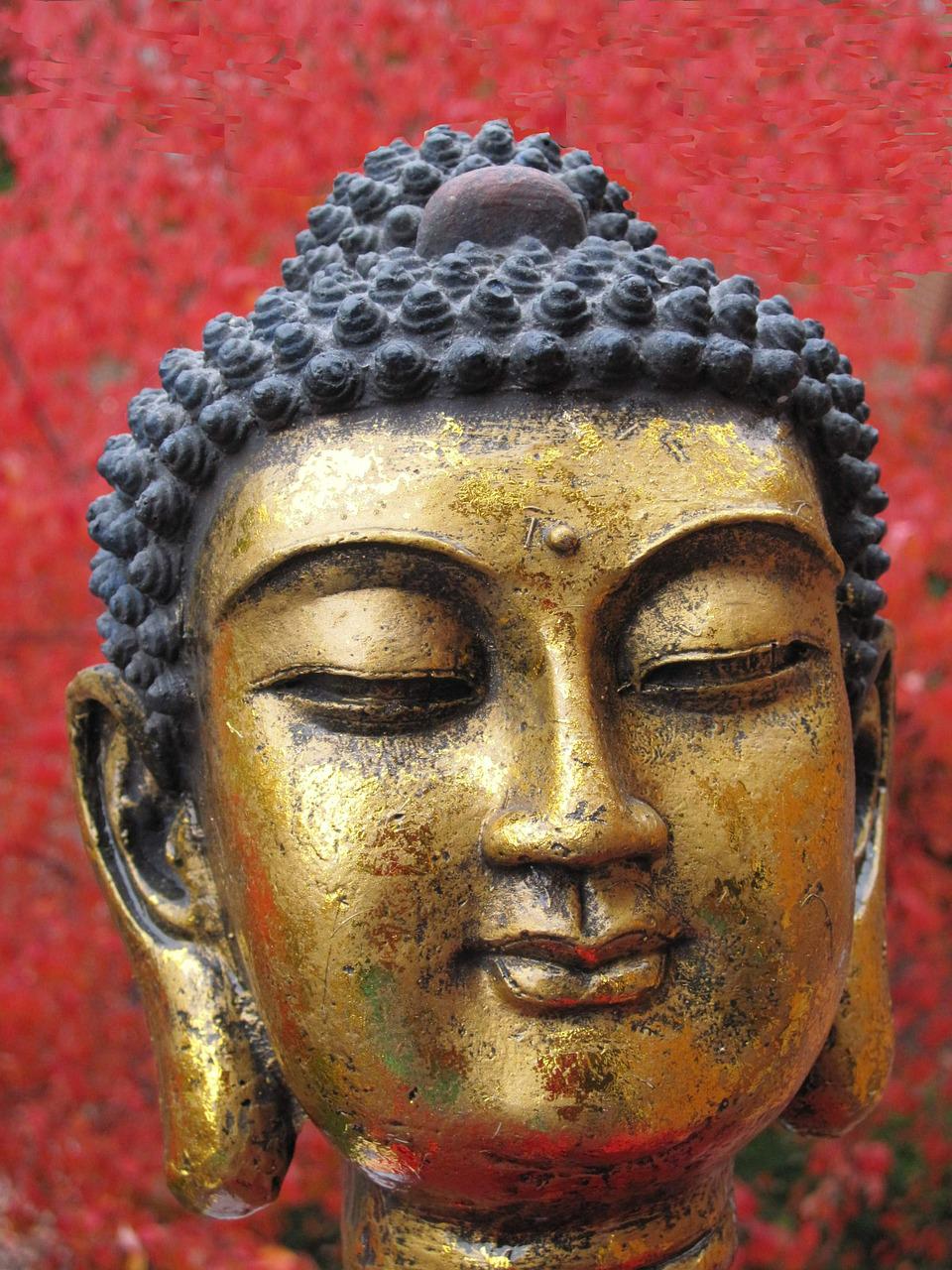 Detail Images Of Siddhartha Gautama Nomer 37