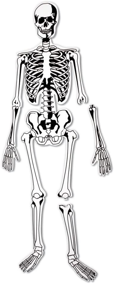 Detail Images Of Skeleton Nomer 41