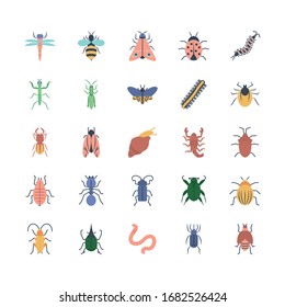 Detail Images Of Small Bugs Nomer 2
