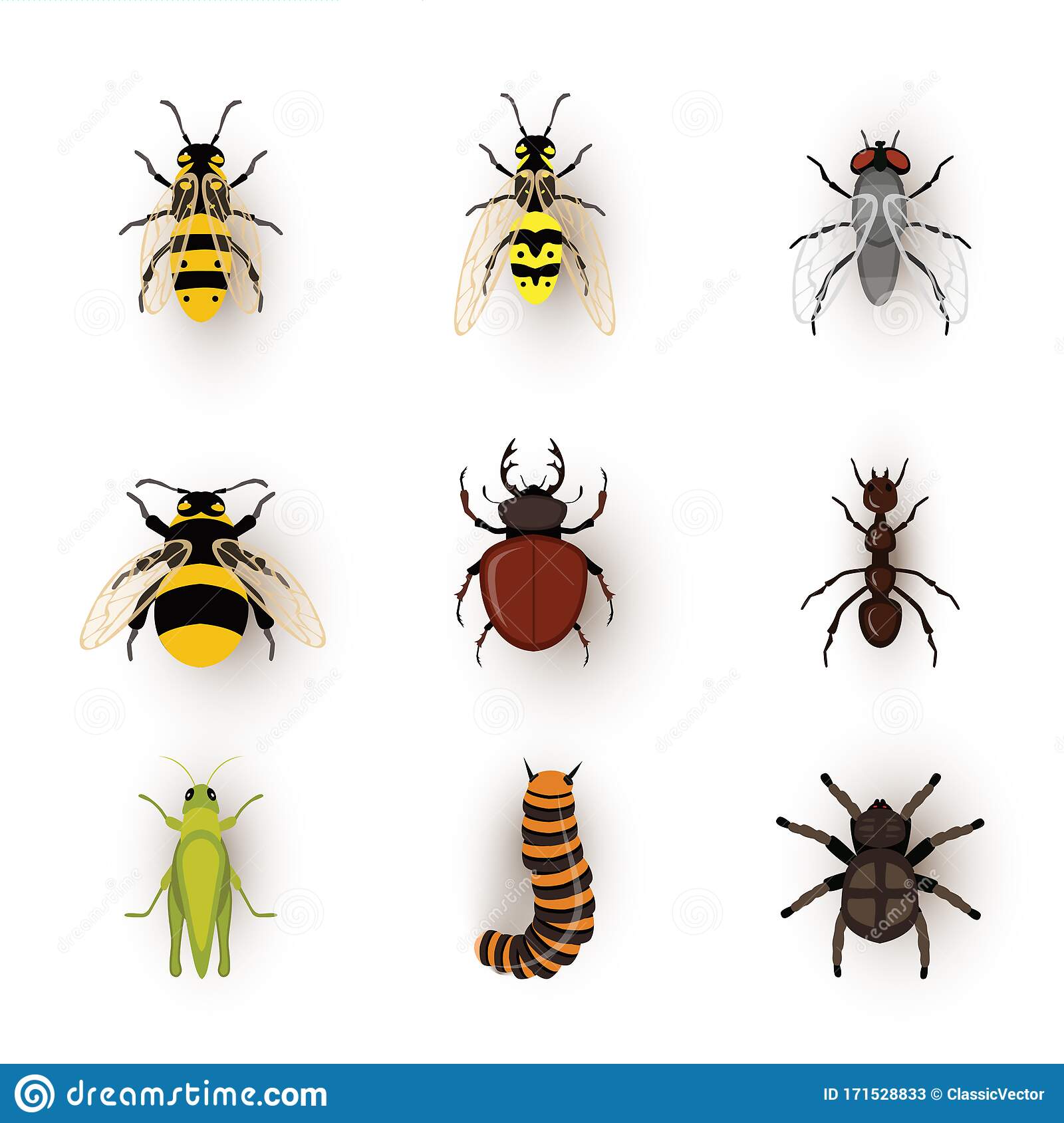 Detail Images Of Small Bugs Nomer 17