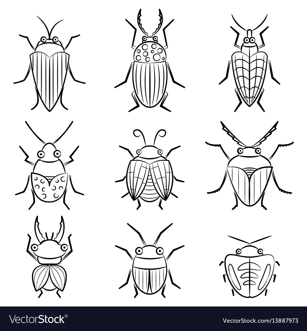 Detail Images Of Small Bugs Nomer 18
