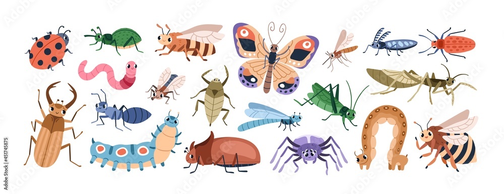 Detail Images Of Small Bugs Nomer 39