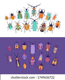 Detail Images Of Small Bugs Nomer 53