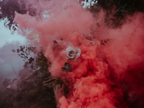 Detail Images Of Smoke Nomer 21