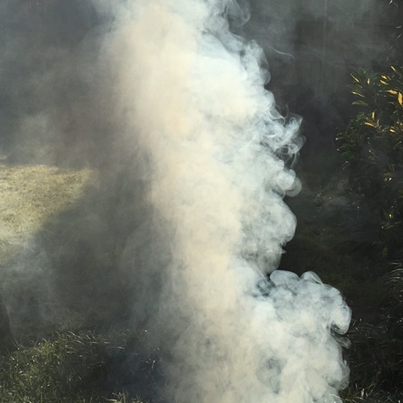 Detail Images Of Smoke Nomer 57