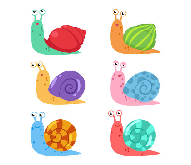 Detail Images Of Snails Nomer 51