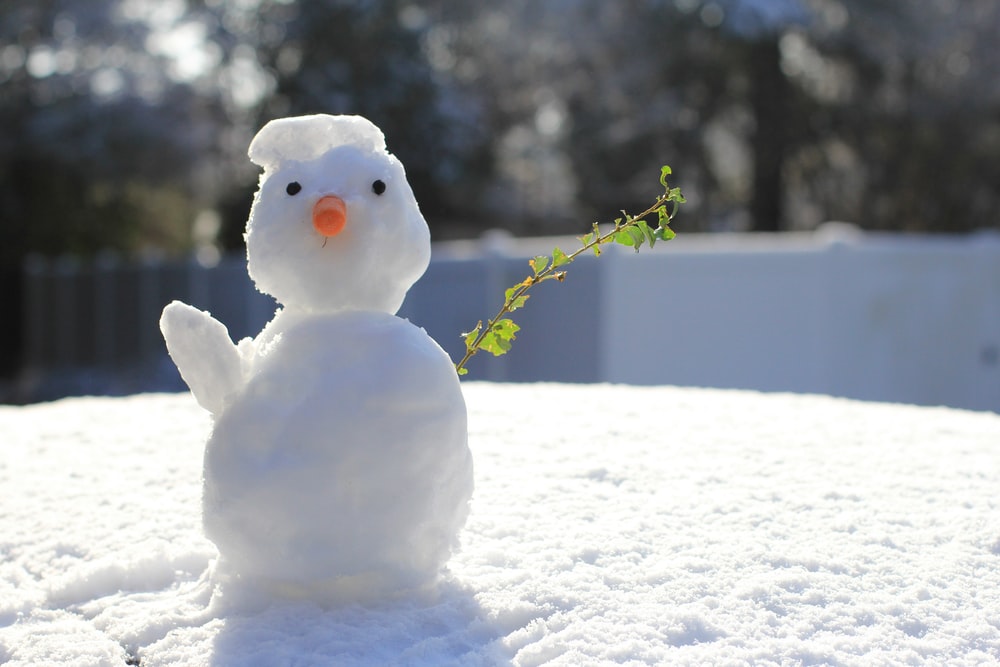 Detail Images Of Snowman Nomer 11