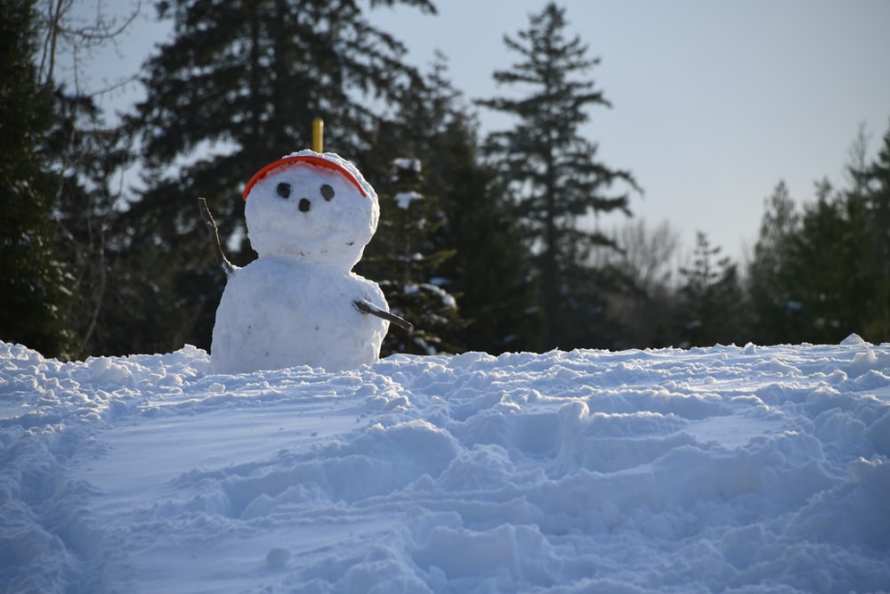 Detail Images Of Snowman Nomer 14