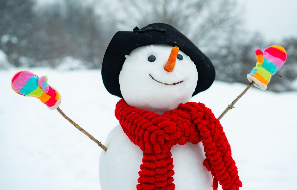 Detail Images Of Snowman Nomer 3