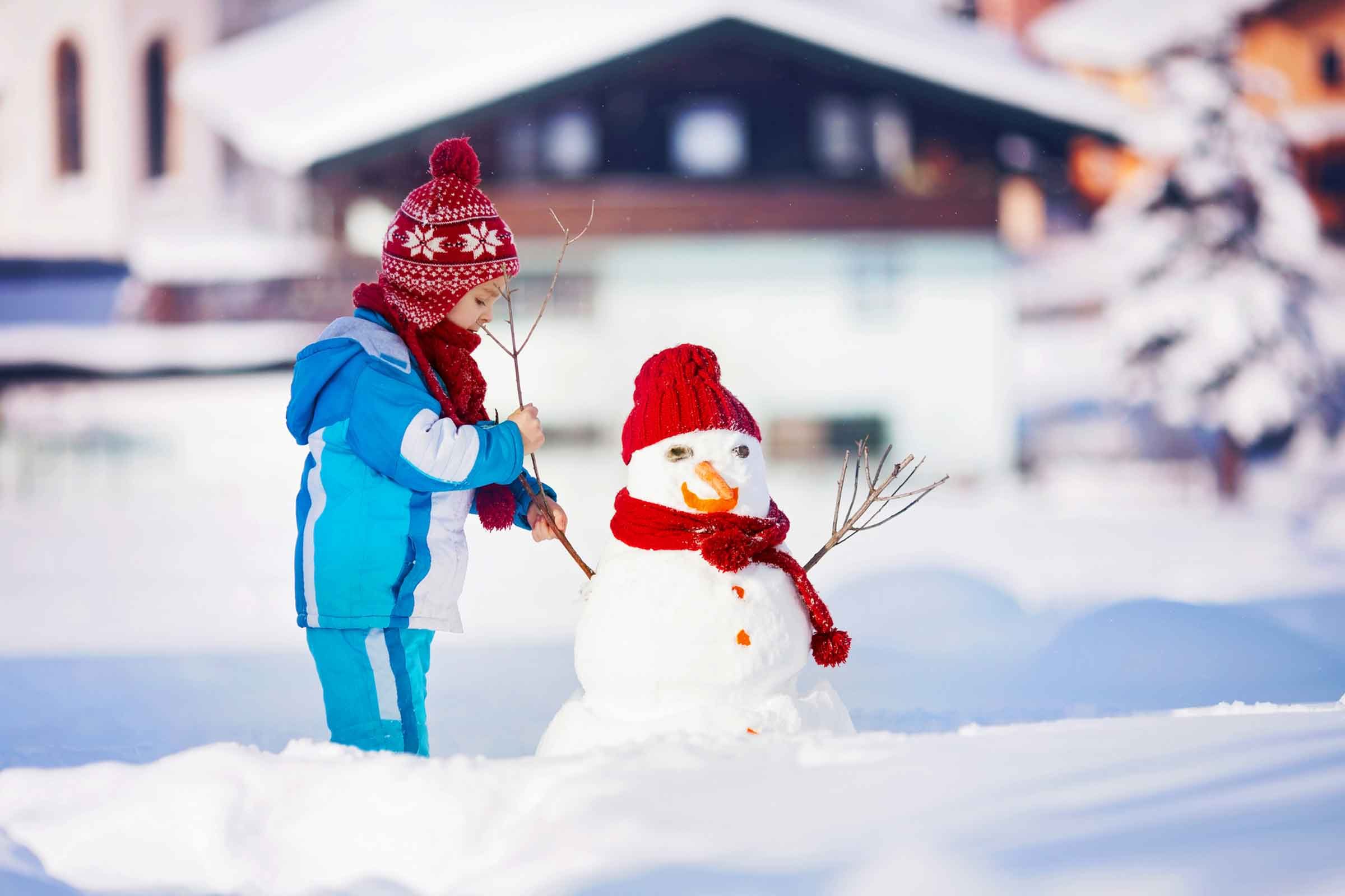 Detail Images Of Snowman Nomer 22