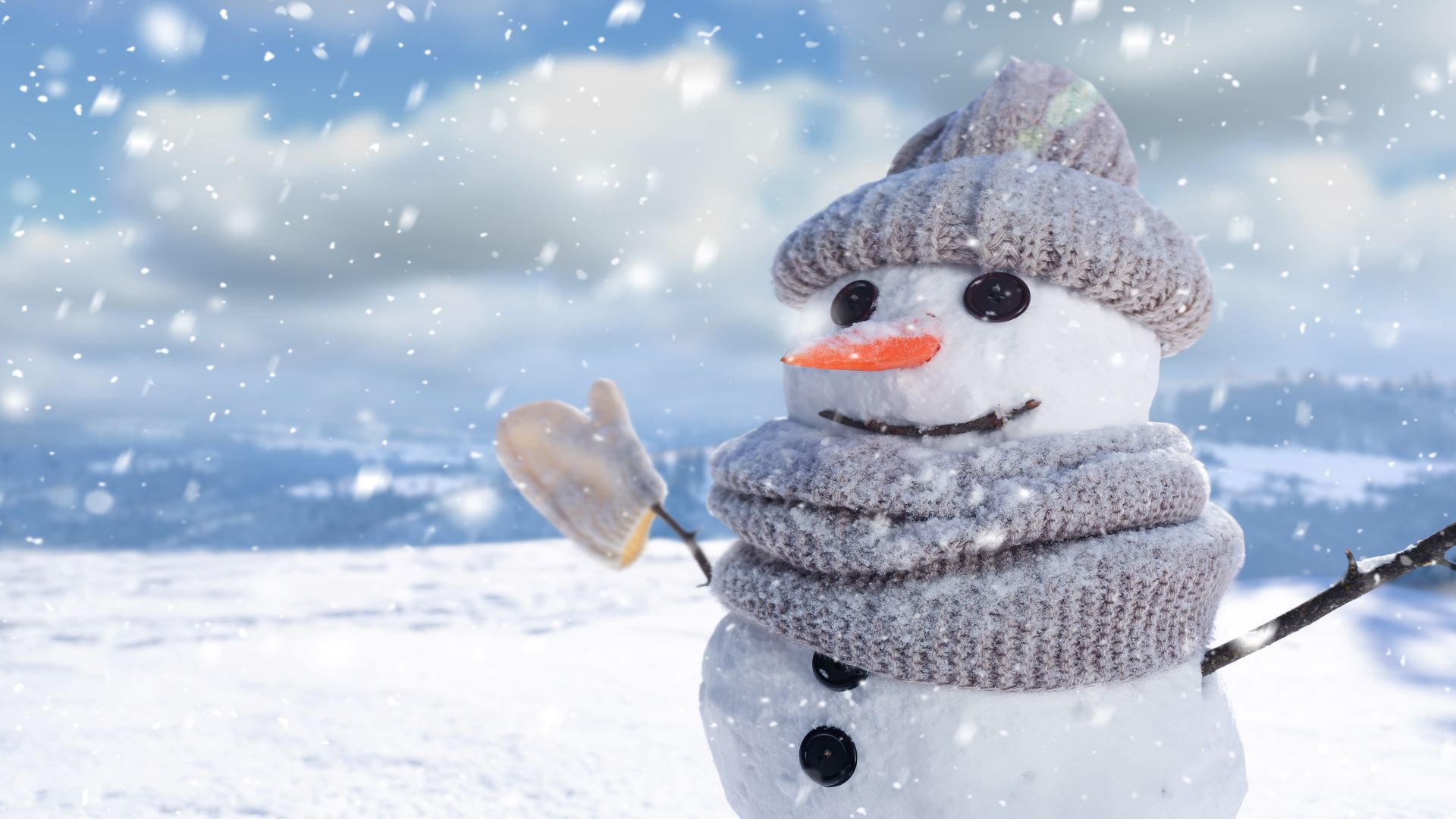 Detail Images Of Snowman Nomer 24